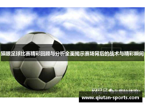 猫眼足球比赛精彩回顾与分析全面揭示赛场背后的战术与精彩瞬间